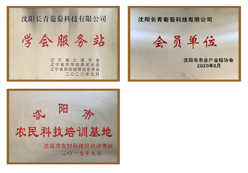 榮譽資質(zhì)